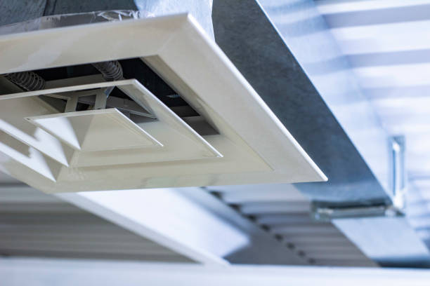 Best Air Duct Cleaning Company Near Me  in Odem, TX