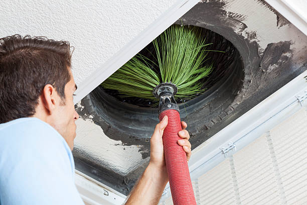 Best HVAC Air Duct Cleaning  in Odem, TX
